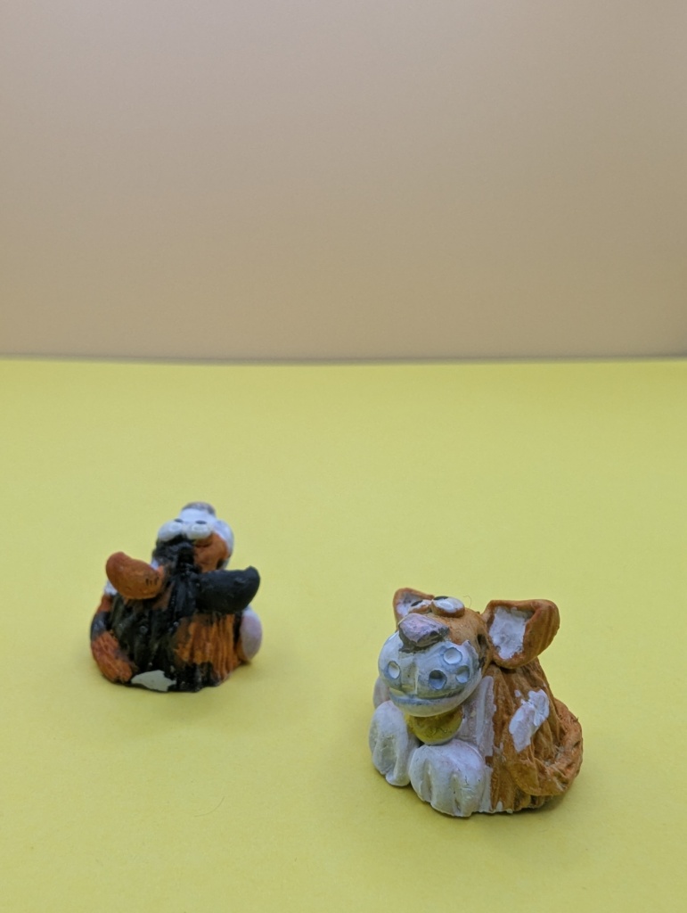household pet collection cat orange