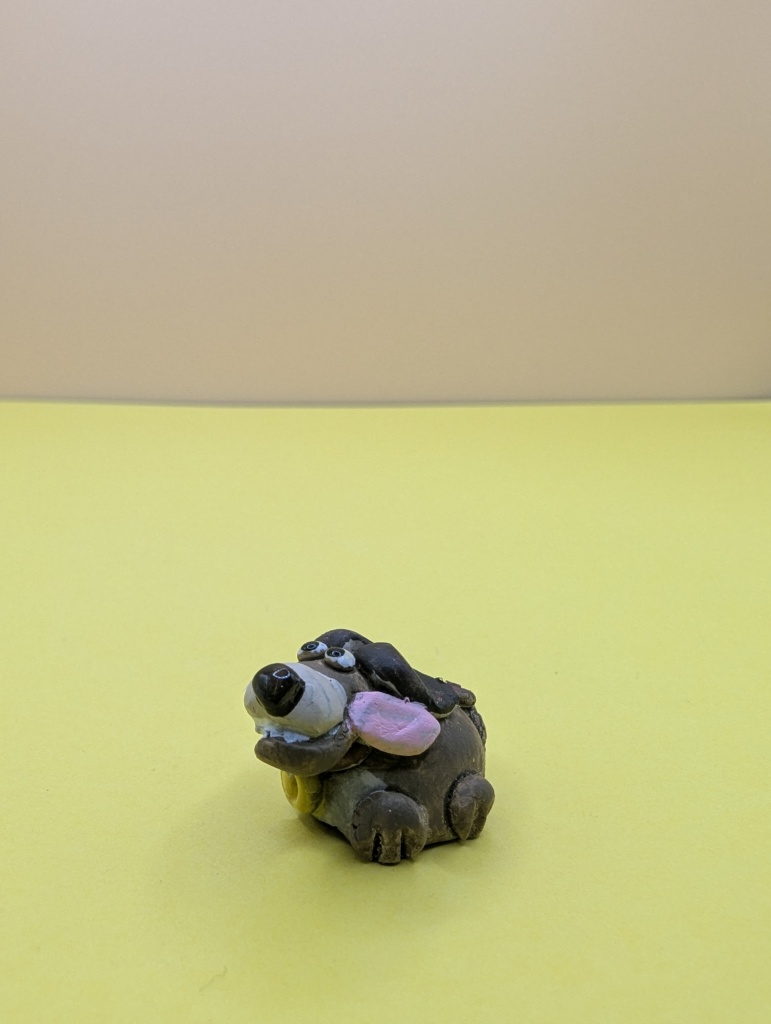 household pet collection dog