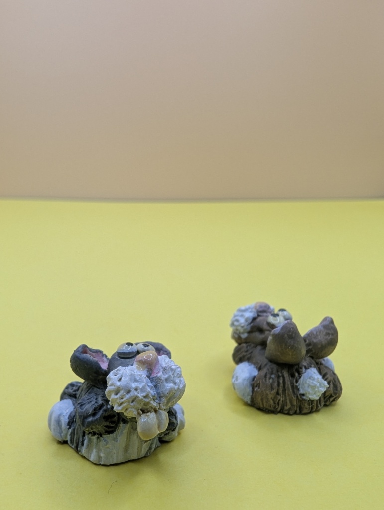 household pet collection rabbit