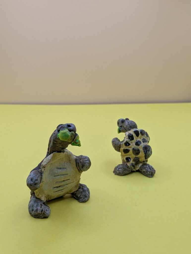reptile collection tortoise standing