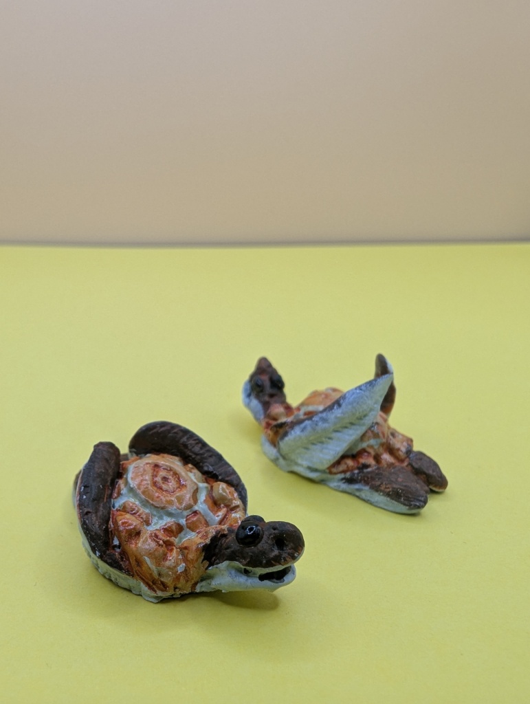 reptile collection turtle