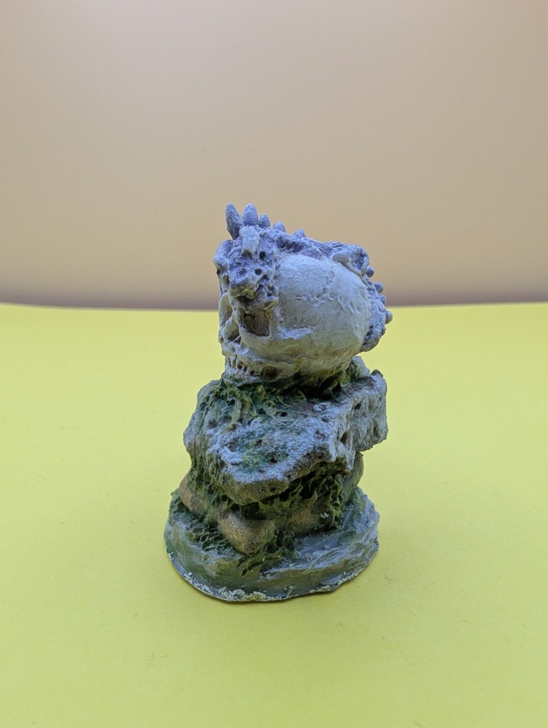 skull and bone collection rocks