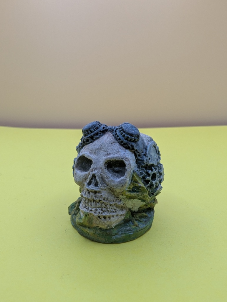 skull and bone collection steampunk